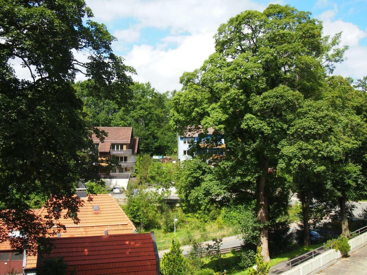 Apartment Harzgruen 2 Sankt Andreasberg Eksteriør bilde