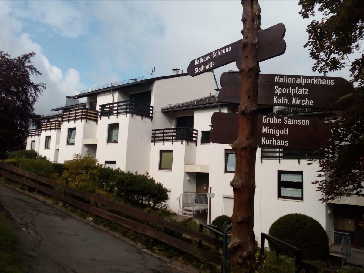 Apartment Harzgruen 2 Sankt Andreasberg Eksteriør bilde